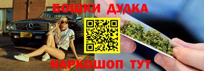 гидра Ставрополь