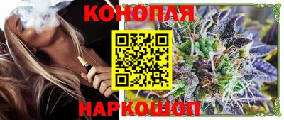 гидра Ставрополь