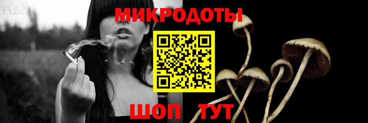 Павлово  Псилоцибиновые грибы мицелий  Псилоцибиновые грибы мицелий  Вход с VPN 